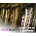 Tenorsaxofon Trevor  James Signatur Custom "RAW"